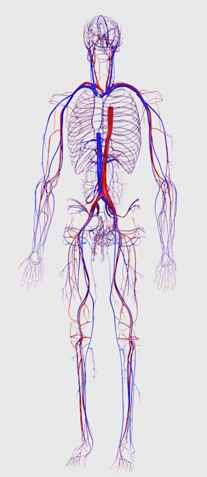 Interventional Radiology