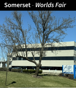 Somerset - Worlds Fair